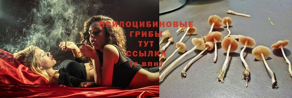 стафф Армянск